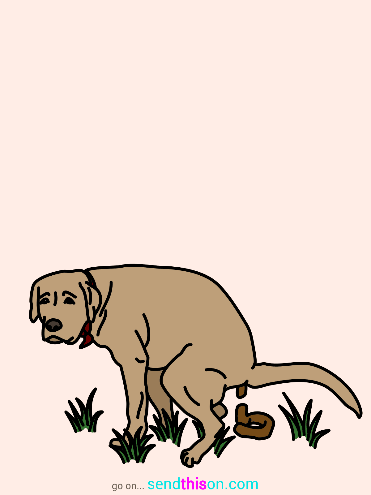 Template 3