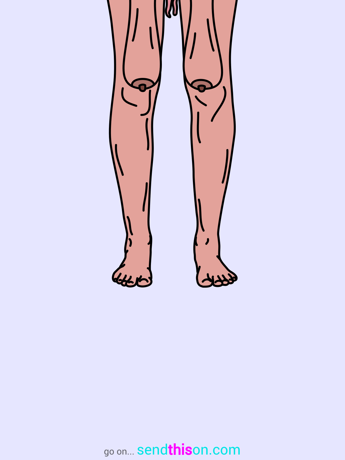 Template 13