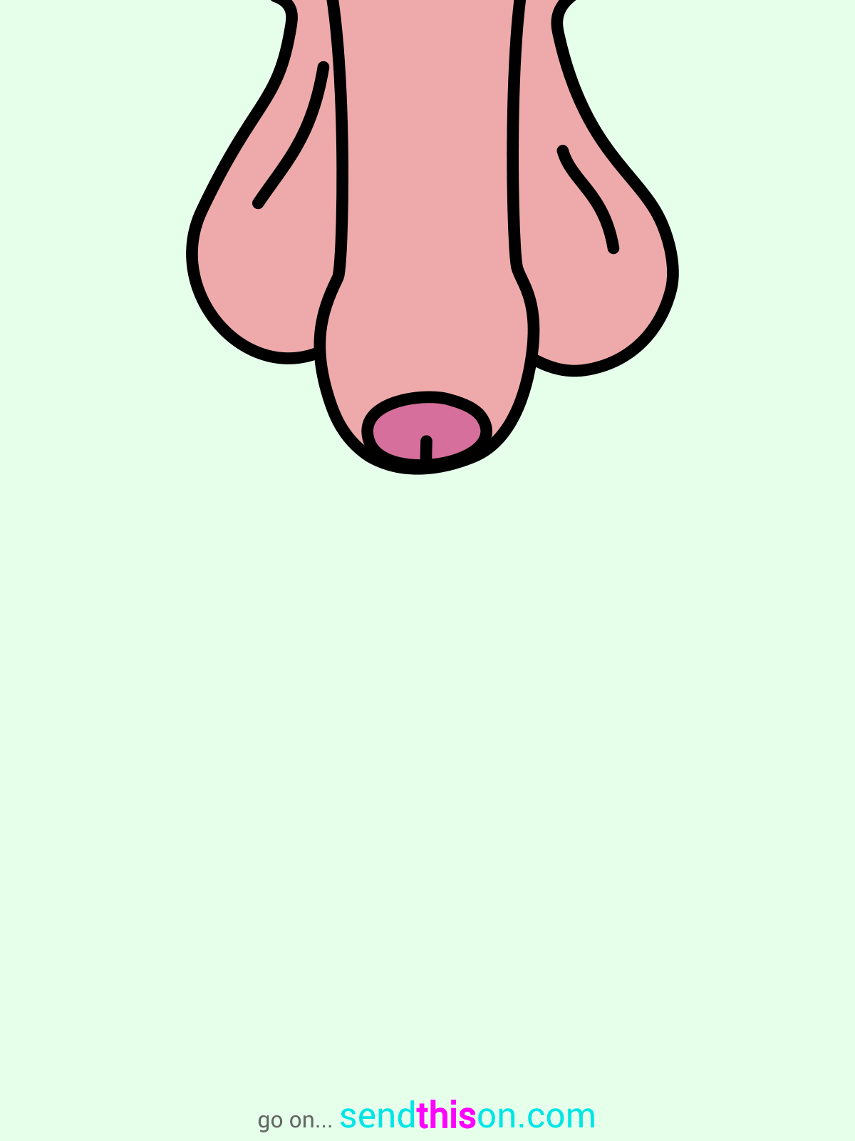 Template 15