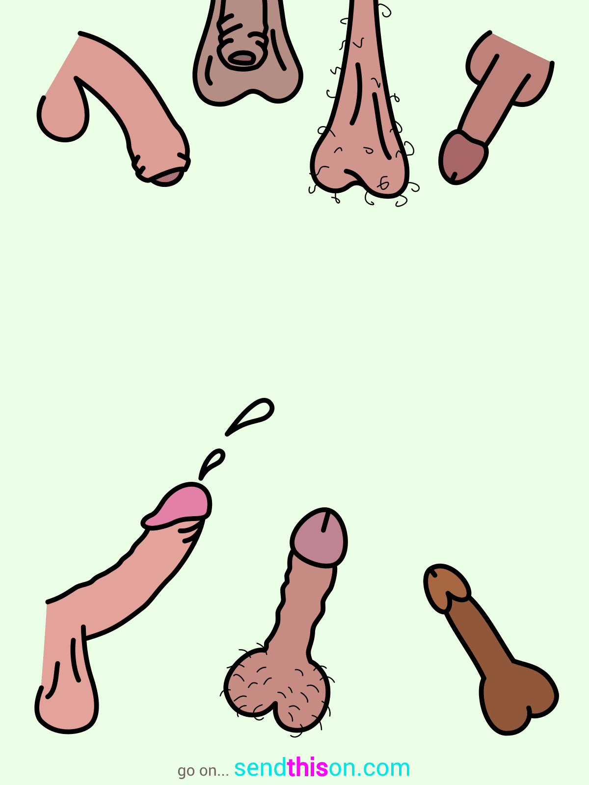 Template 20
