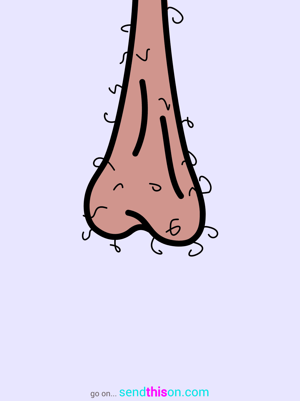 Template 24